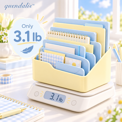 𝒒𝒖𝒆𝒏𝒅𝒂𝒍𝒊𝒔™ Five-Slot Vertical File Sorter